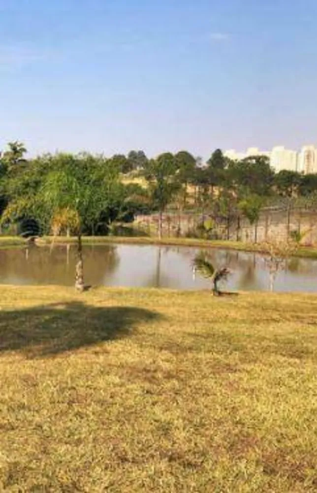 Chácara, 5 quartos, 5100 m² - Foto 10