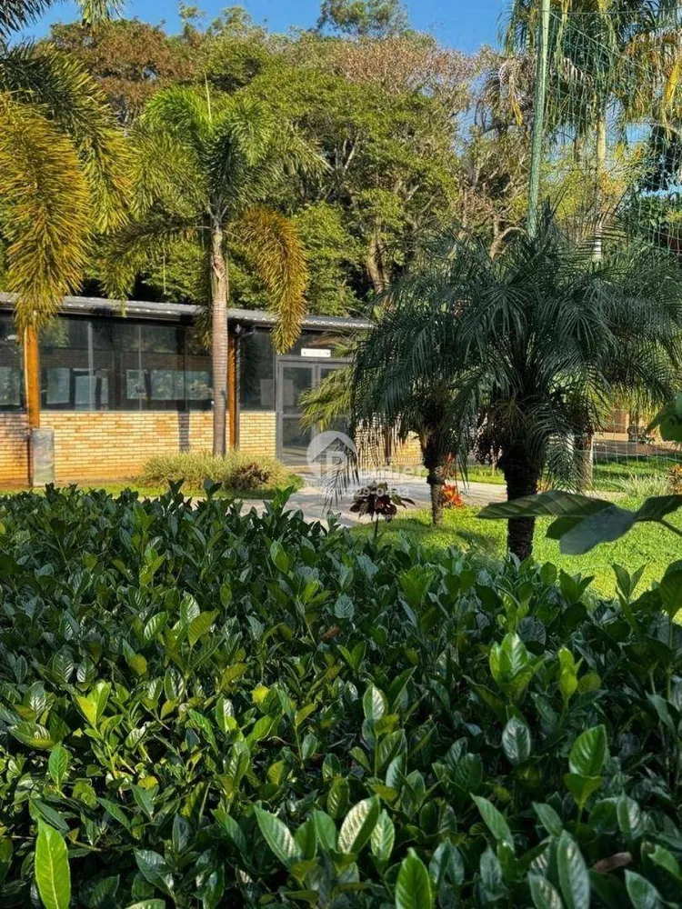 Chácara, 5 quartos, 1000 m² - Foto 10