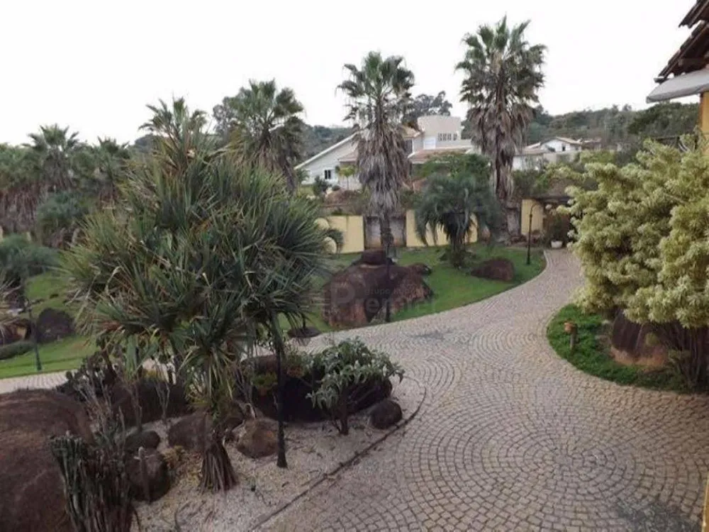 Chácara, 4 quartos, 3 hectares - Foto 7