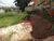 Terreno, 537 m² - Foto 8