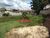 Terreno, 537 m² - Foto 1
