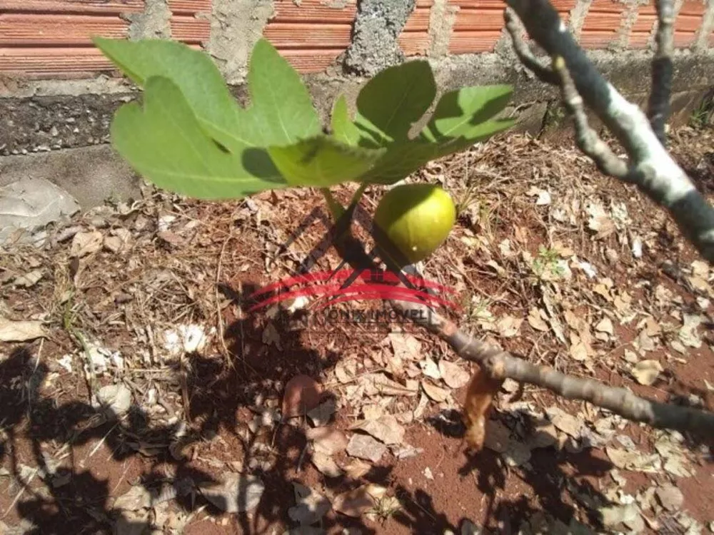 Chácara, 3 quartos, 1200 m² - Foto 18