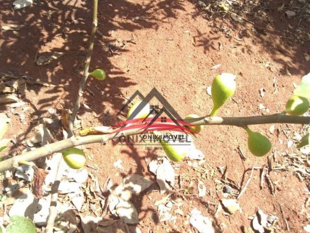 Chácara, 3 quartos, 1200 m² - Foto 6