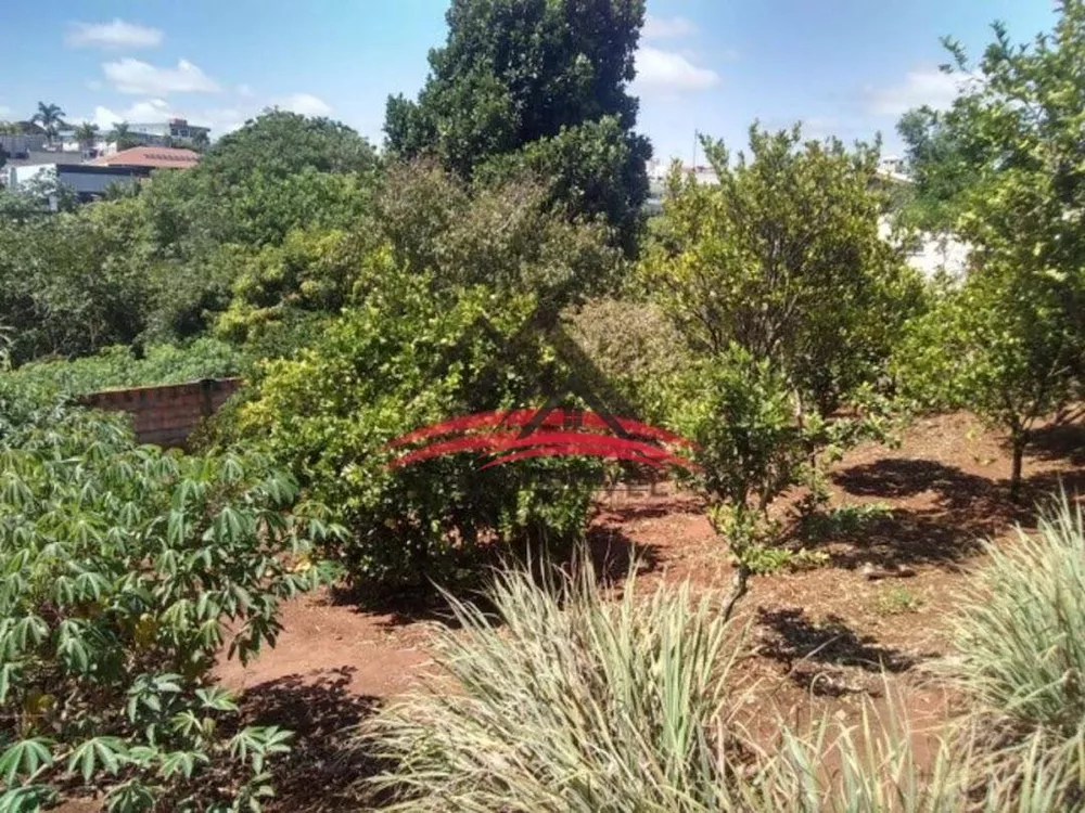 Chácara, 3 quartos, 1200 m² - Foto 14