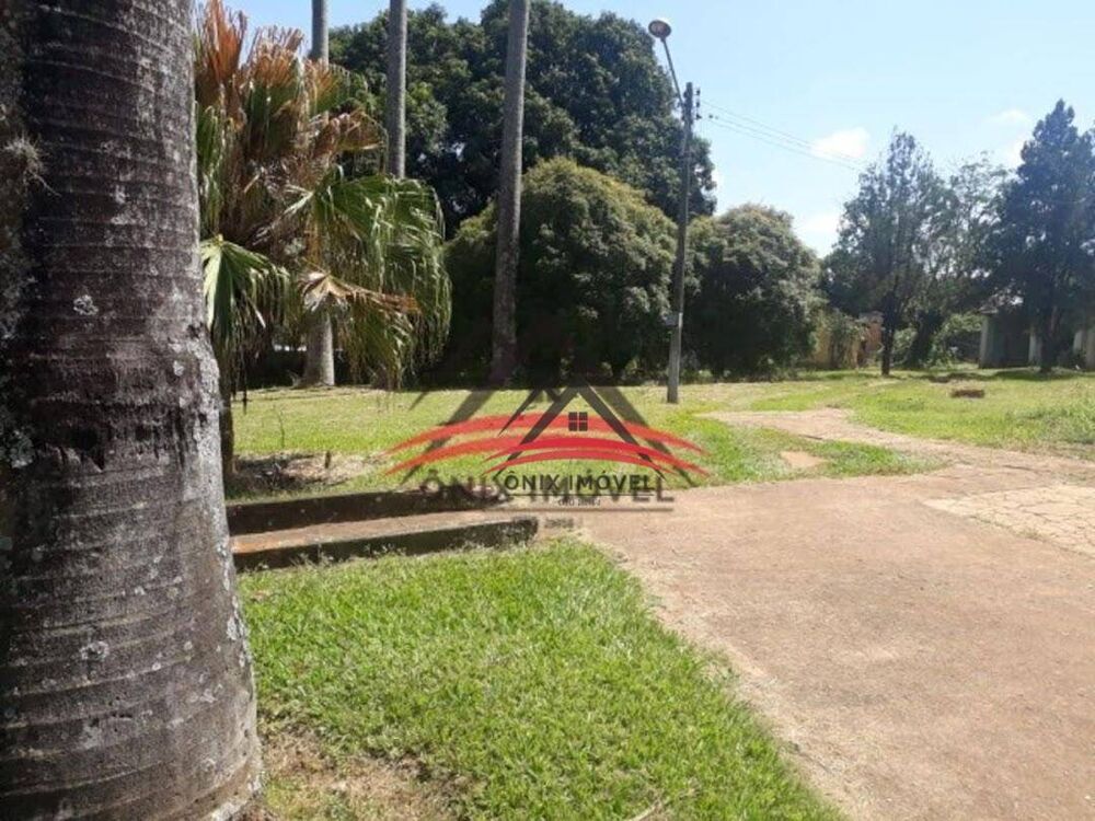 Terreno, 3 hectares - Foto 6