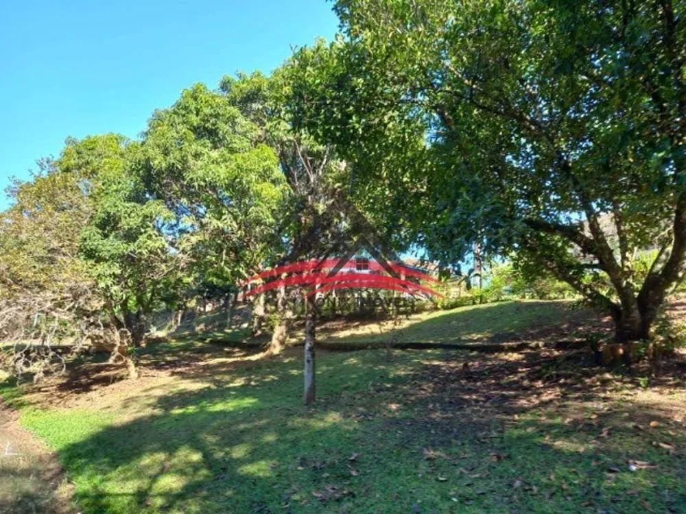 Chácara, 4 quartos, 6000 m² - Foto 9