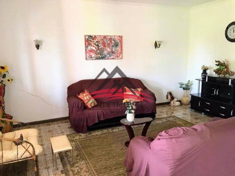 Chácara, 4 quartos, 5000 m² - Foto 15