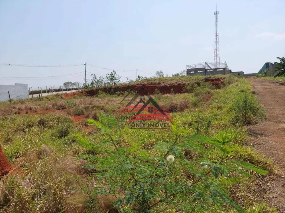 Terreno, 2 hectares - Foto 4