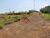 Terreno, 2 hectares - Foto 1