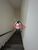 Sala-Conjunto, 70 m² - Foto 5