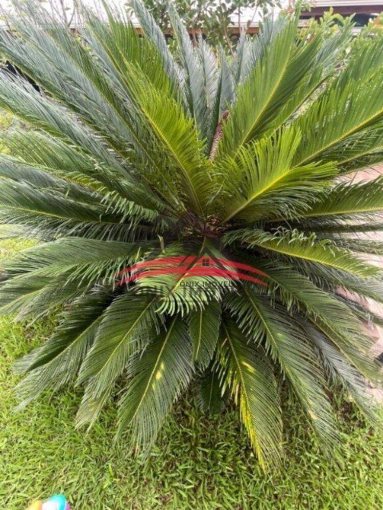 Chácara, 5 quartos, 10000 m² - Foto 1