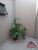 Casa, 3 quartos, 160 m² - Foto 3