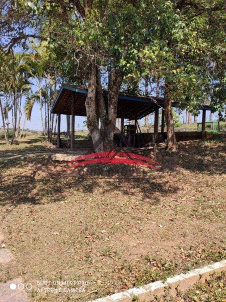 Sítio, 3 quartos, 2 hectares - Foto 6