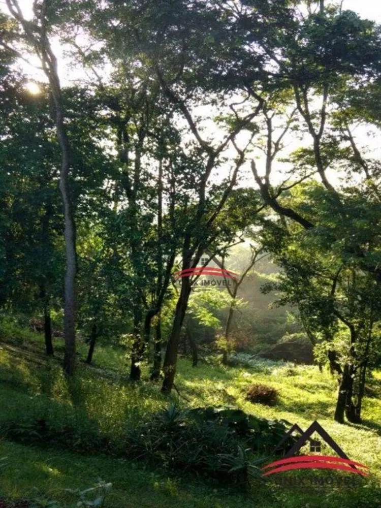 Chácara, 3 quartos, 4950 m² - Foto 12