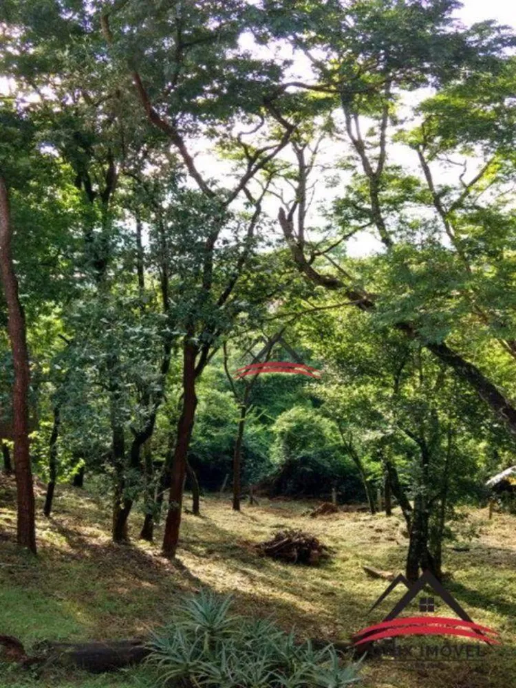 Chácara, 3 quartos, 4950 m² - Foto 10