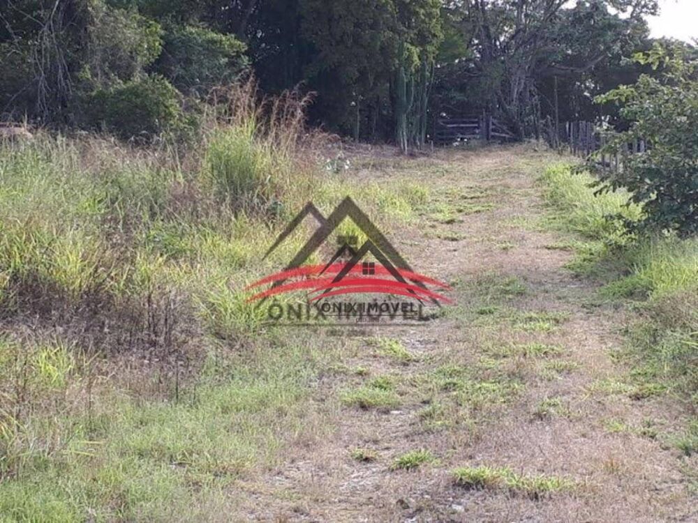 Sítio, 4 quartos, 5 hectares - Foto 1