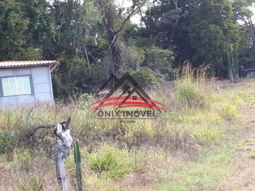 Sítio, 4 quartos, 5 hectares - Foto 4