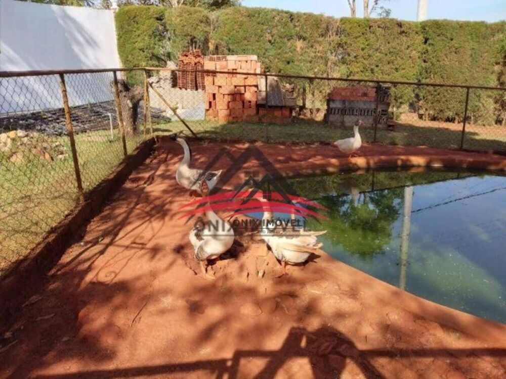 Chácara, 4 quartos, 3150 m² - Foto 7