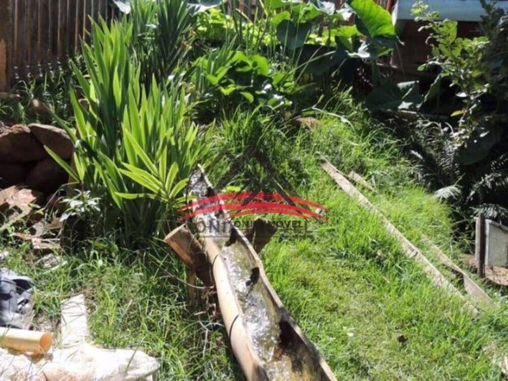 Chácara, 3 quartos, 1000 m² - Foto 4