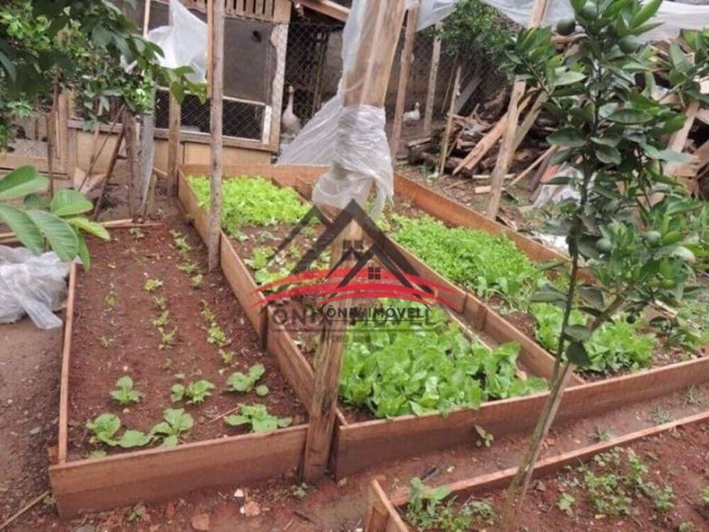 Chácara, 3 quartos, 1000 m² - Foto 2