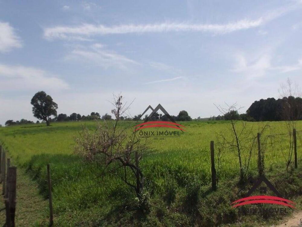 Terreno, 4 hectares - Foto 3