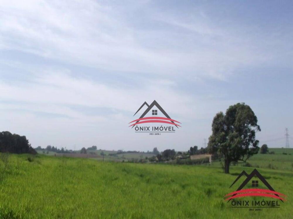 Terreno, 4 hectares - Foto 6