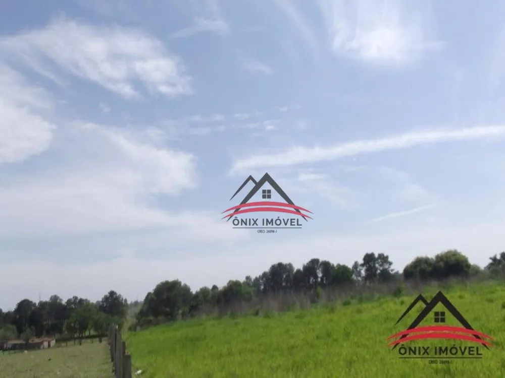 Terreno, 4 hectares - Foto 8