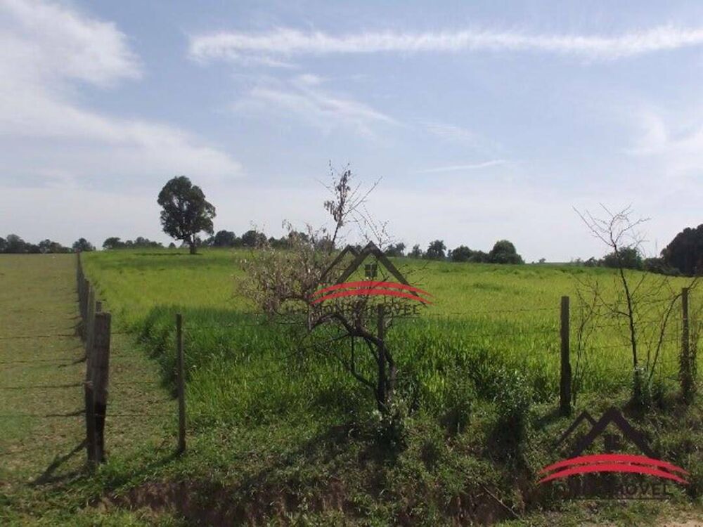 Terreno, 4 hectares - Foto 2