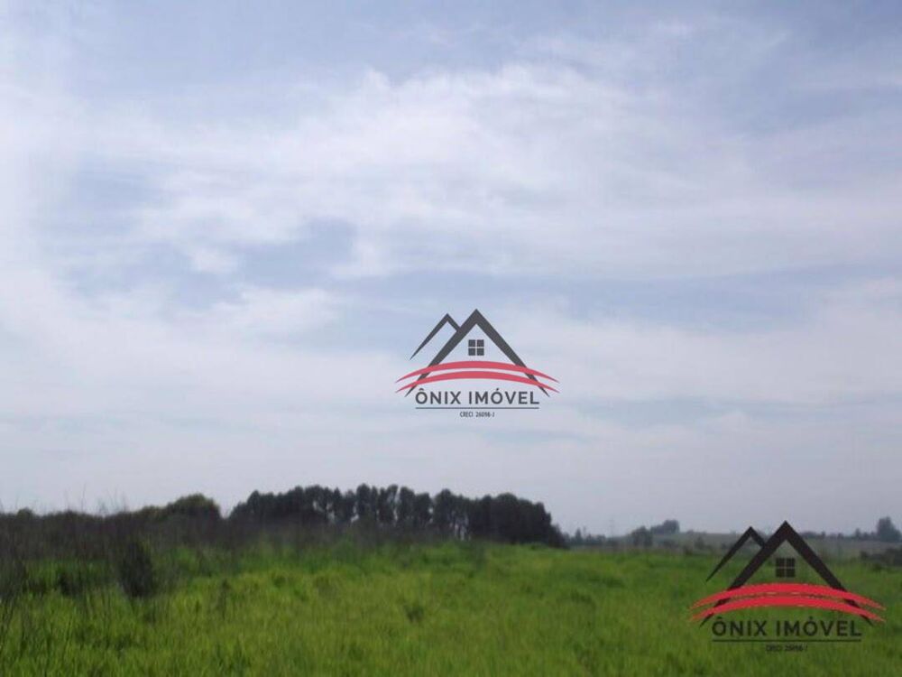 Terreno, 4 hectares - Foto 7