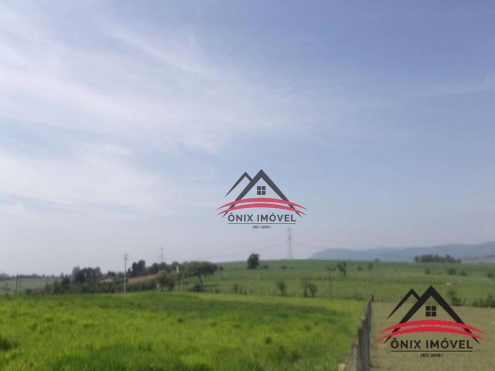 Terreno, 4 hectares - Foto 4