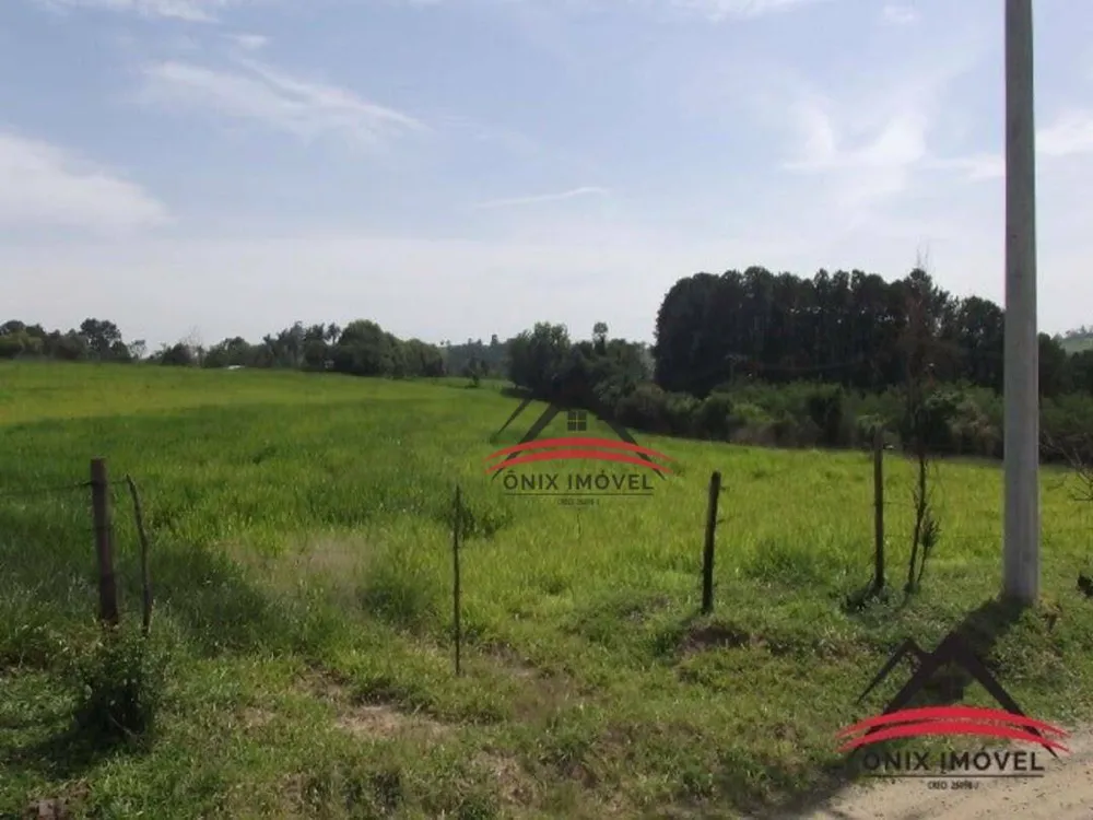 Terreno, 4 hectares - Foto 3