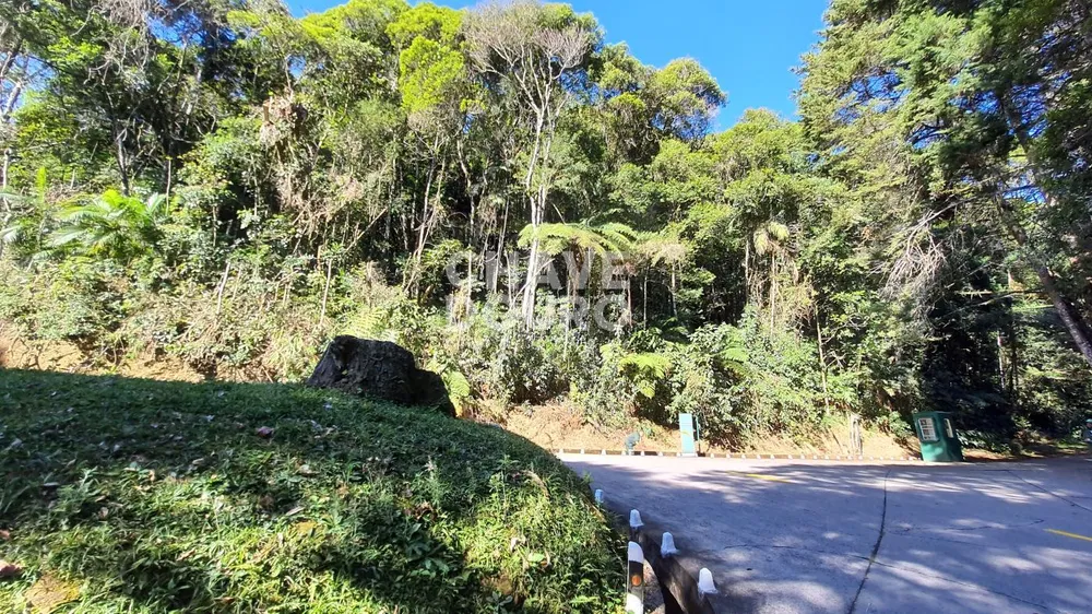 Terreno, 7 hectares - Foto 7