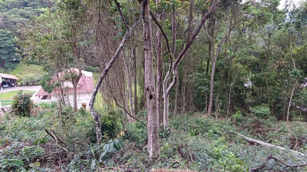 Terreno, 450 m² - Foto 9