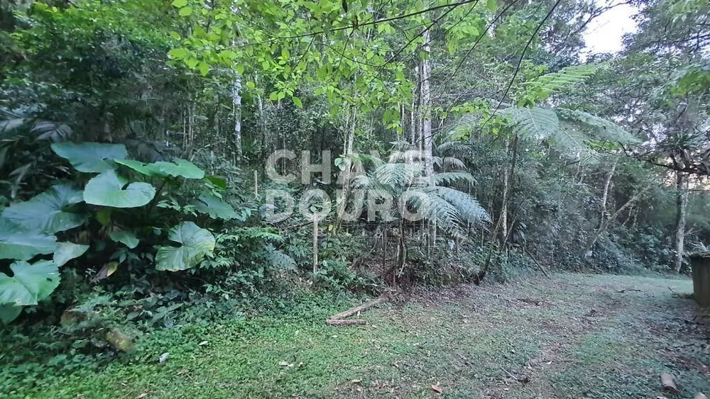 Terreno, 4970 m² - Foto 2