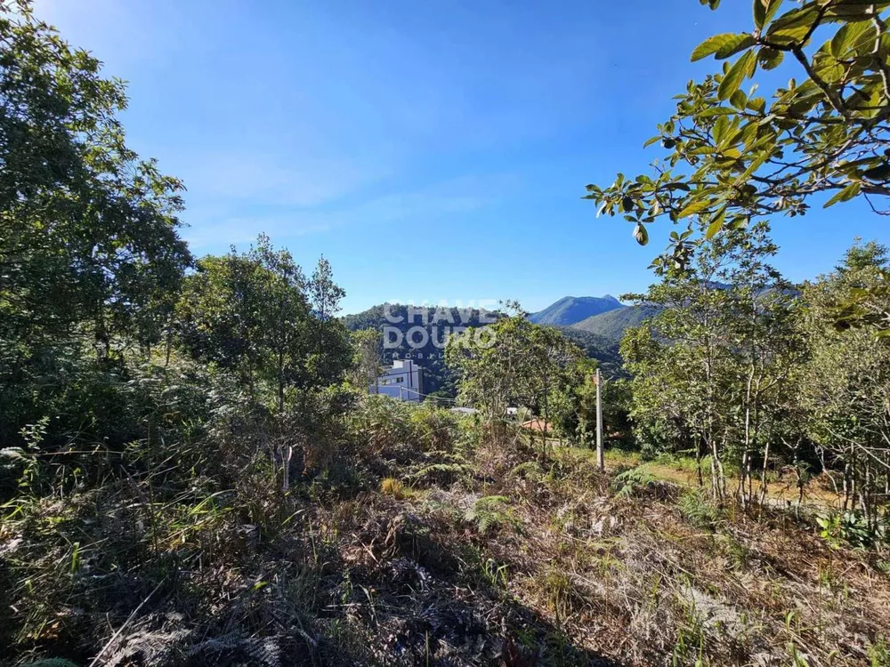 Terreno, 424 m² - Foto 8