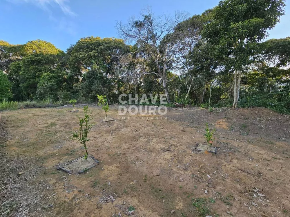 Terreno, 738 m² - Foto 22