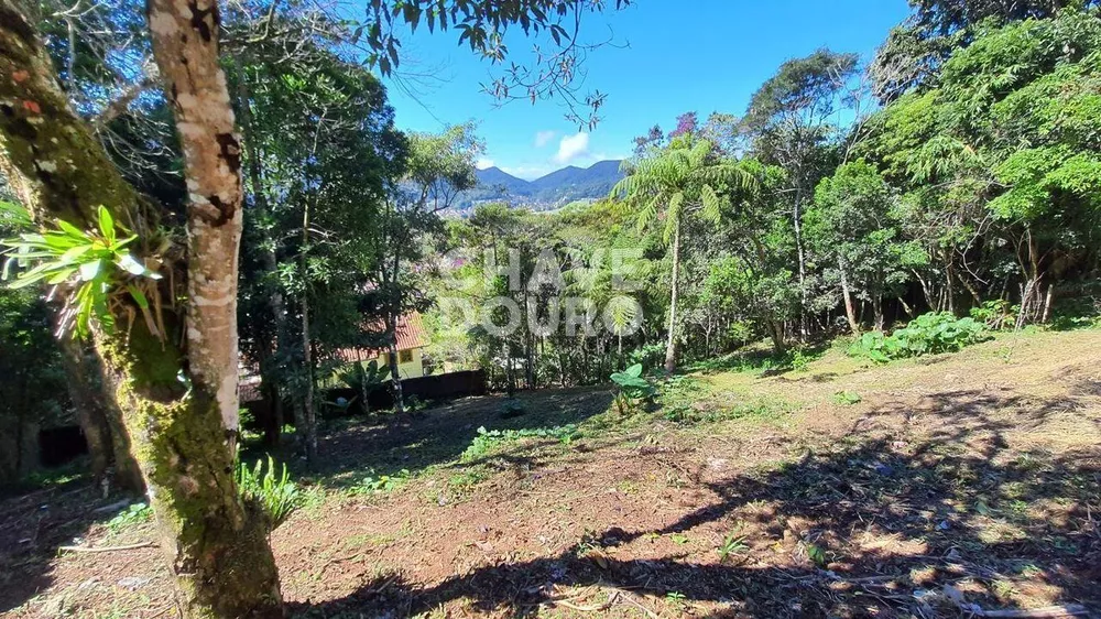 Terreno, 728 m² - Foto 1