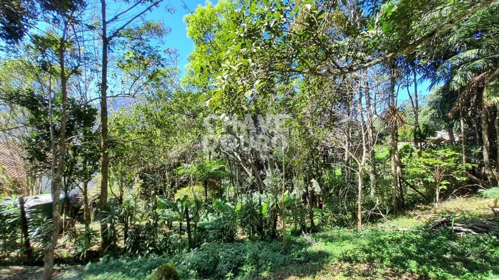 Terreno, 728 m² - Foto 9
