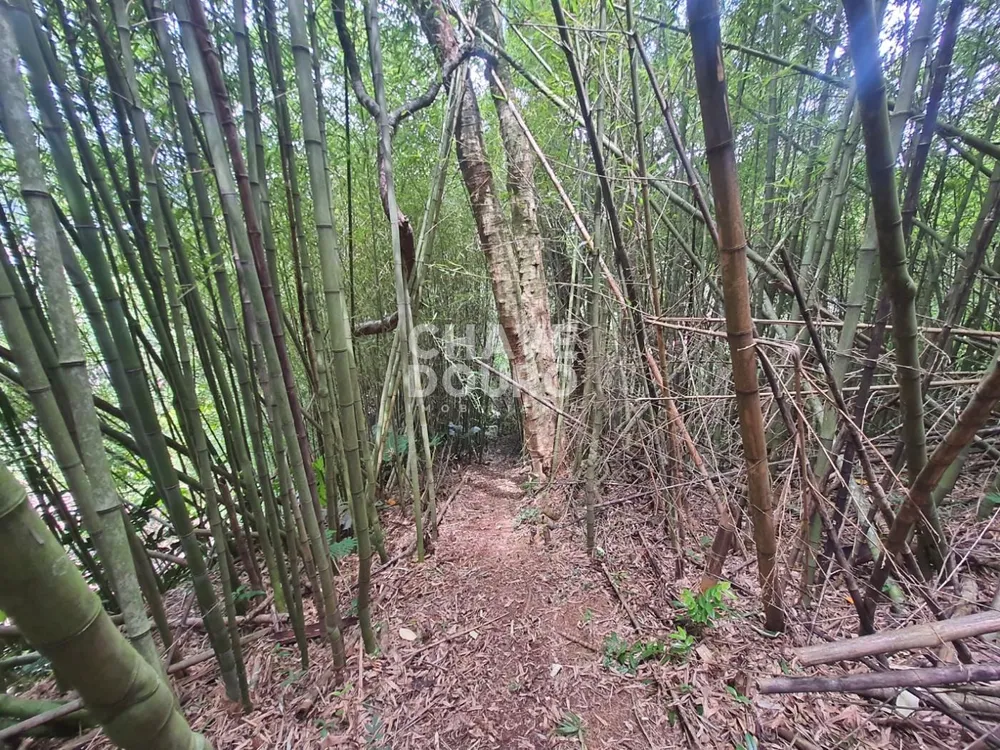 Terreno, 450 m² - Foto 6