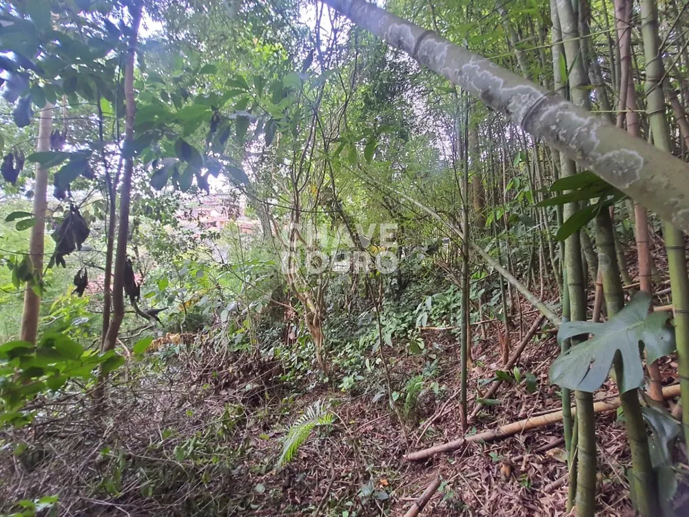 Terreno, 450 m² - Foto 5