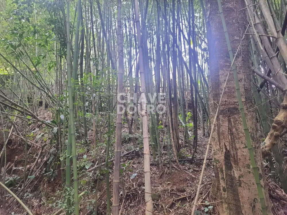 Terreno, 450 m² - Foto 9