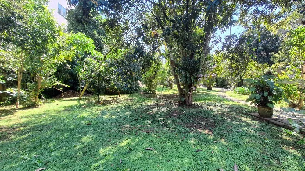 Terreno, 2292 m² - Foto 2