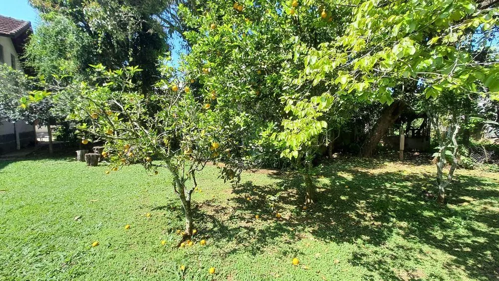 Terreno, 2292 m² - Foto 5