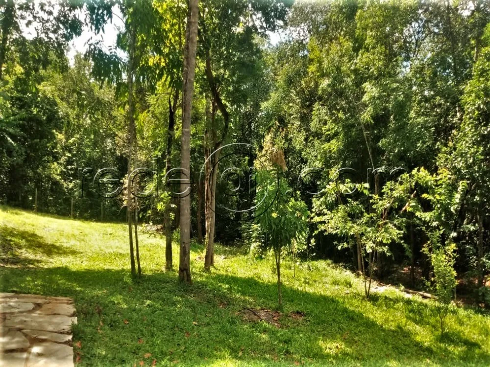 Chácara, 2 quartos, 3 hectares - Foto 9