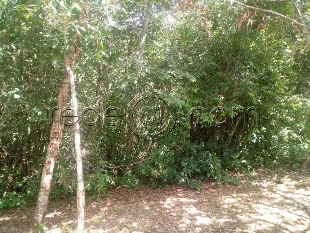 Chácara, 2 quartos, 3 hectares - Foto 14