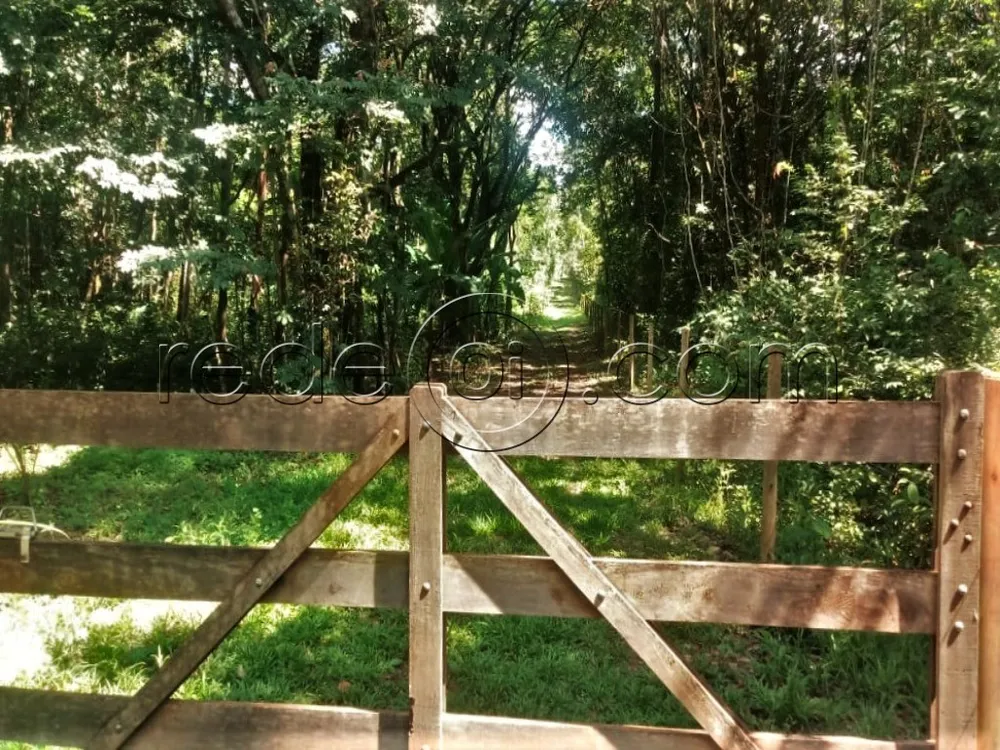 Chácara, 2 quartos, 3 hectares - Foto 1