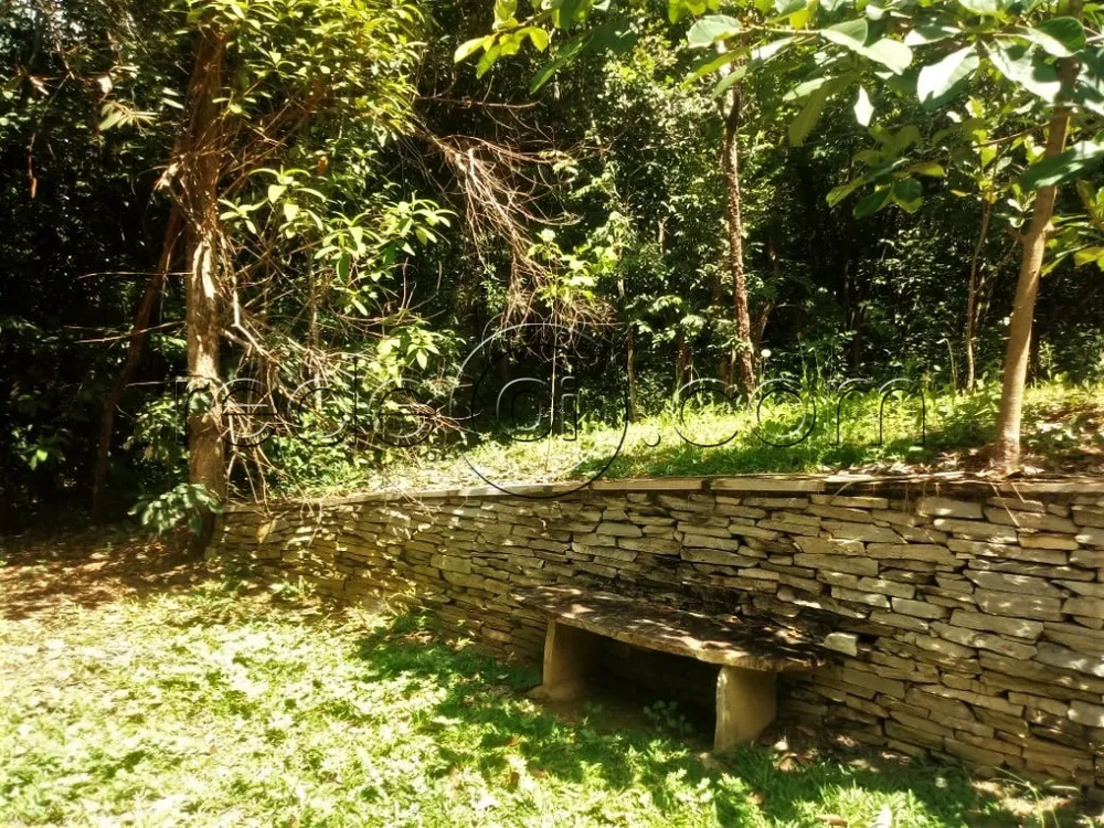 Chácara, 2 quartos, 3 hectares - Foto 7