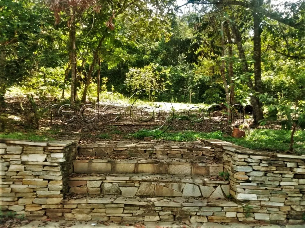 Chácara, 2 quartos, 3 hectares - Foto 6