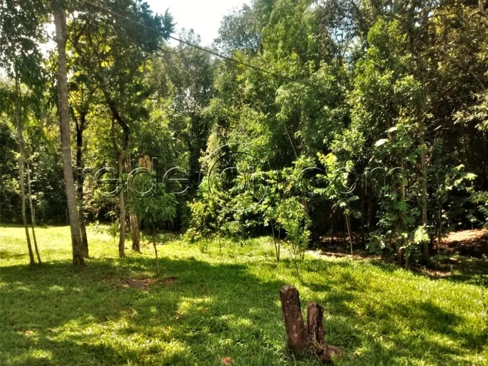 Chácara, 2 quartos, 3 hectares - Foto 10