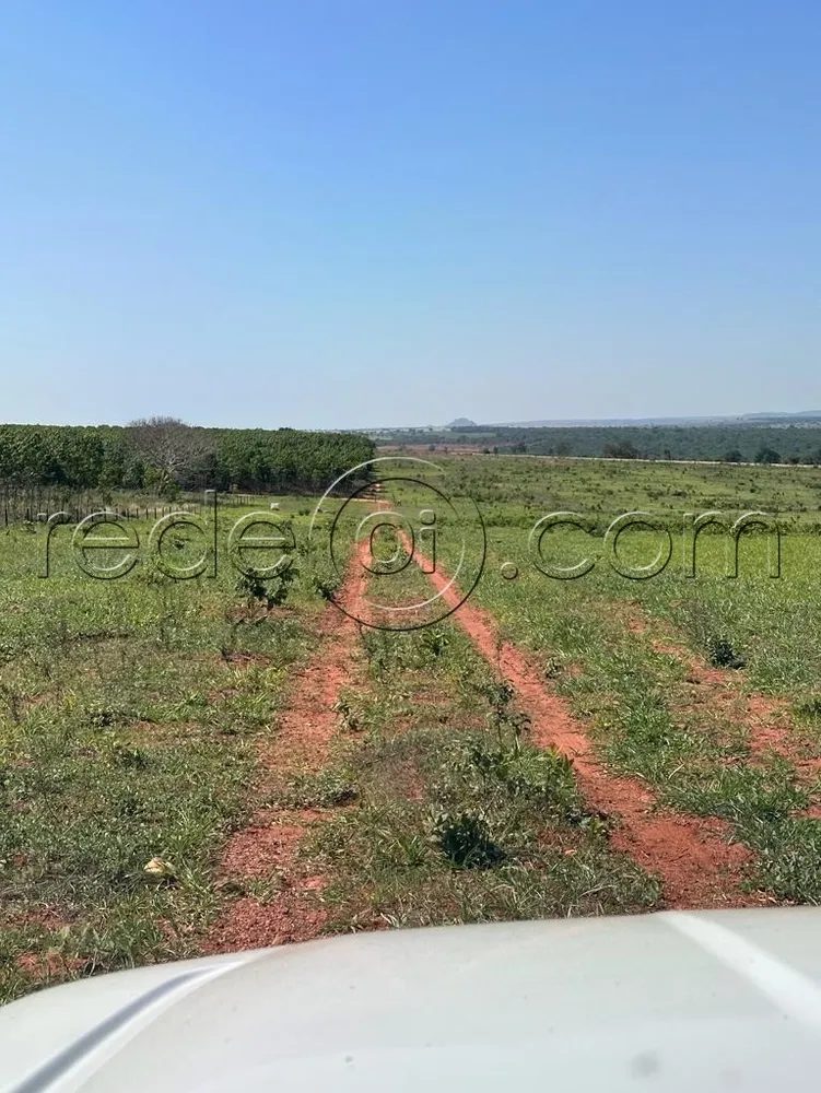 Fazenda, 16 hectares - Foto 7